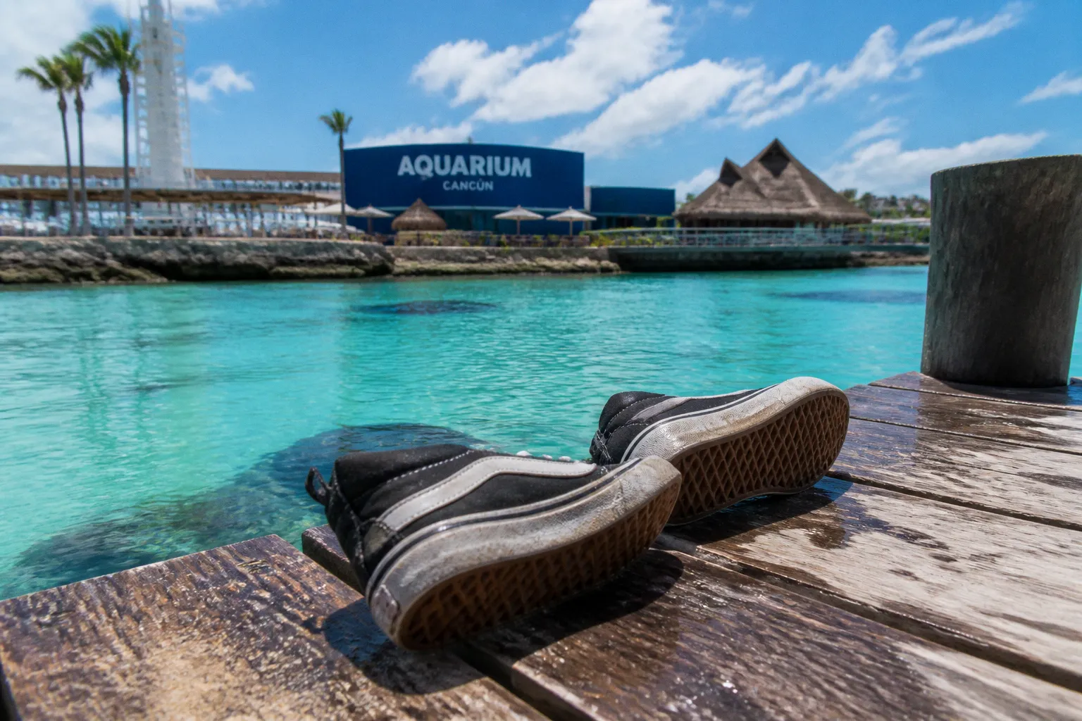 Aquarium interactif de Cancún : quel billet choisir ?
