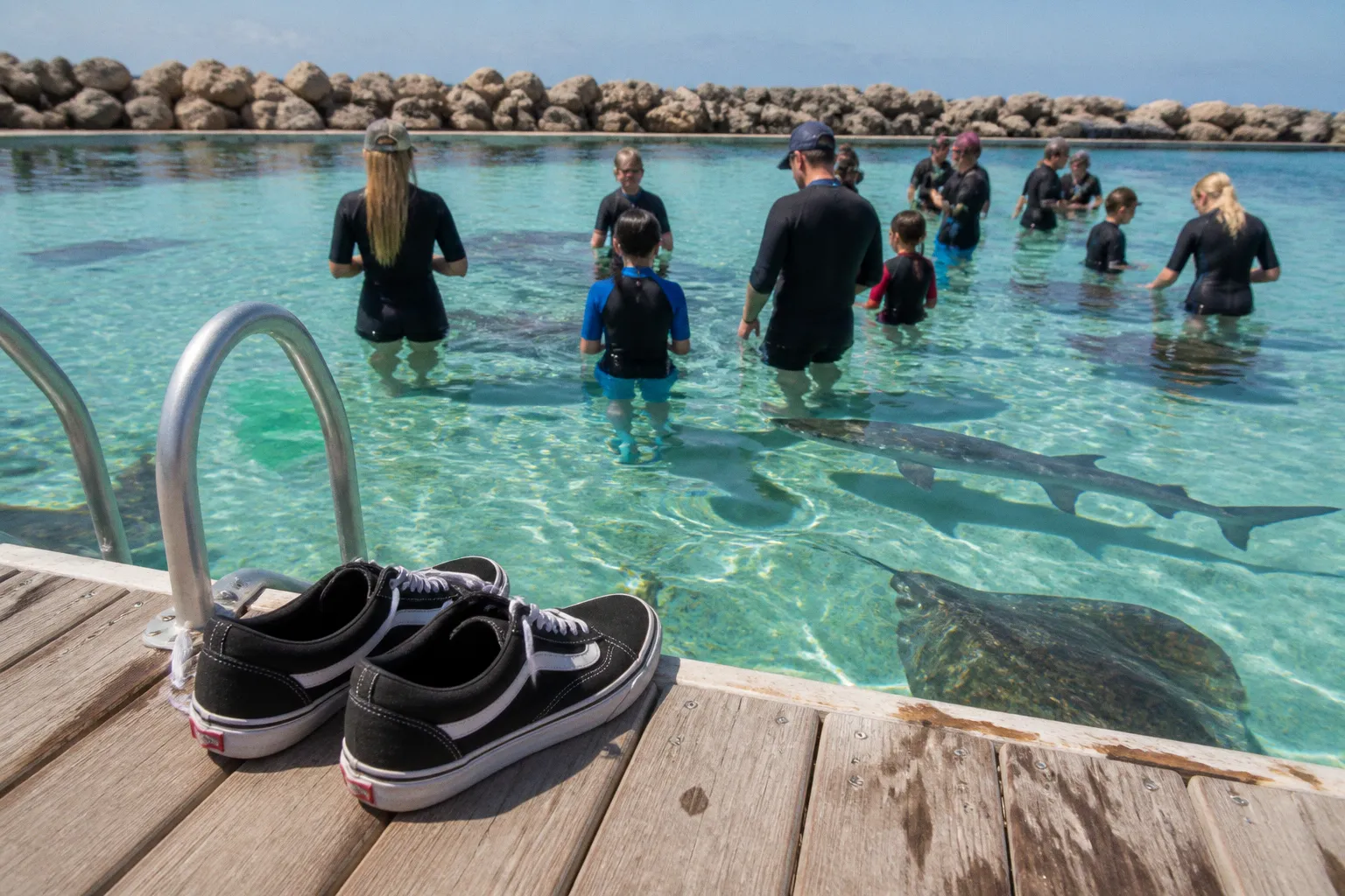 Irukandji Shark & Ray Encounters : quelle formule choisir ?