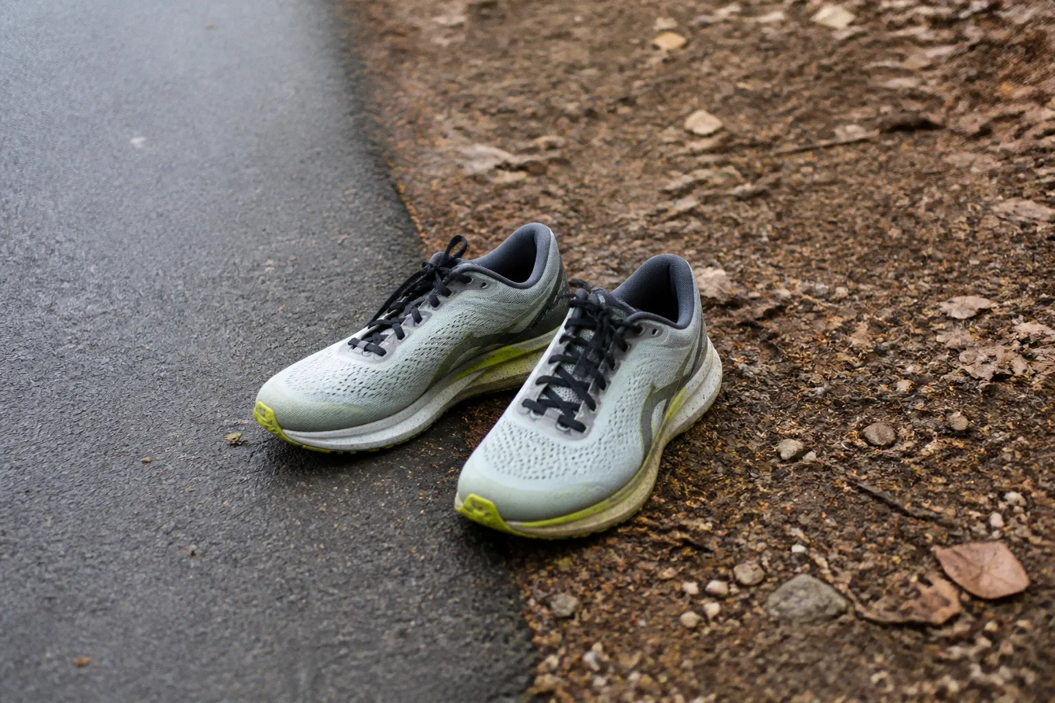 Pegasus route ou trail : quel modèle Nike choisir ?