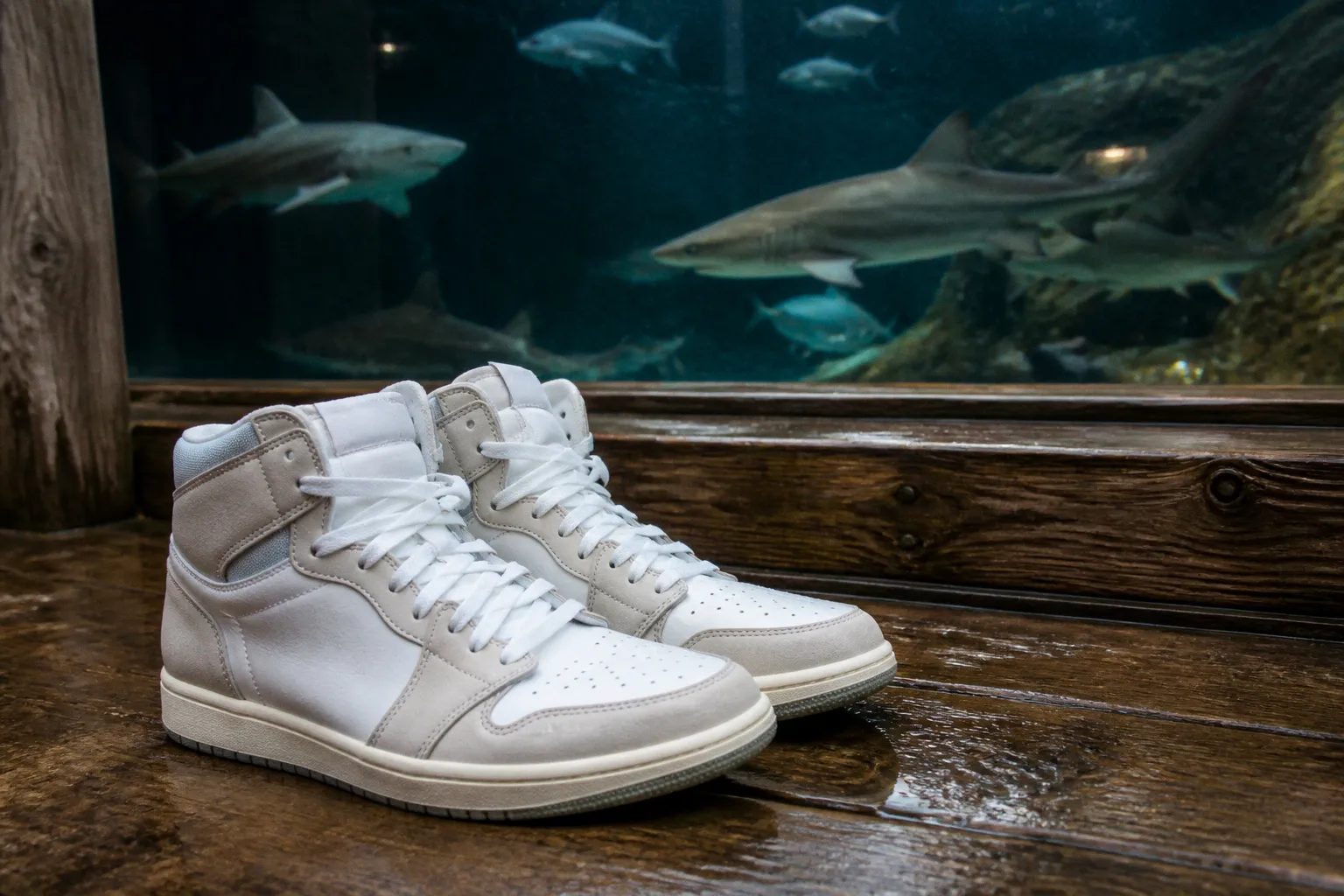 Ripley's Aquarium of the Smokies billets : faut-il réserver ?