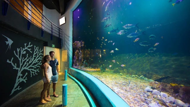 Aquarium interactif de Cancún
